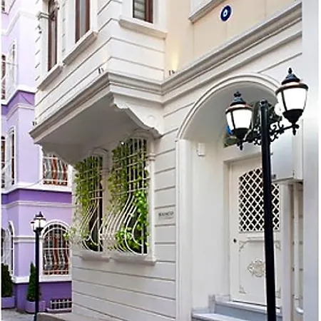 Taksim Tulip